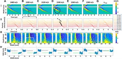 Phase-Aberration Correction in Shear-Wave Elastography Imaging Using Local Speed-of-Sound Adaptive Beamforming
